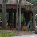 Golf Buggies – Conditional Registration