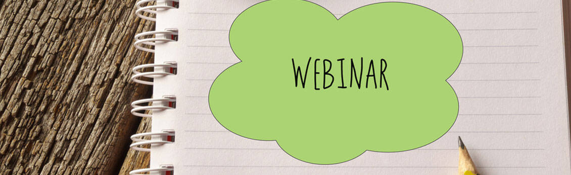 Webinar: Accessible Tourism