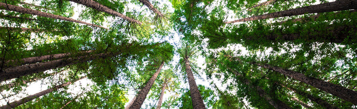Regional Growth – Environment and Tourism Fund