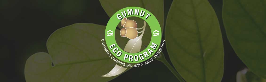 Changes to Gumnut Eco Program