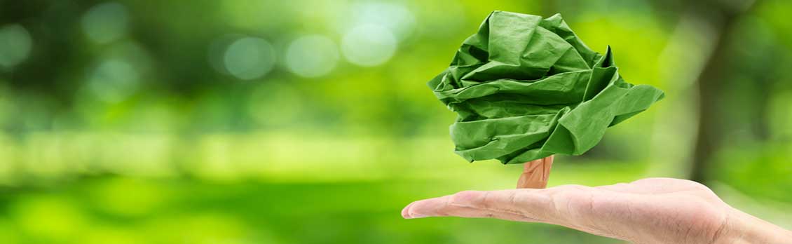 Avoid Contaminated Recycling & Save Money On Waste Disposal