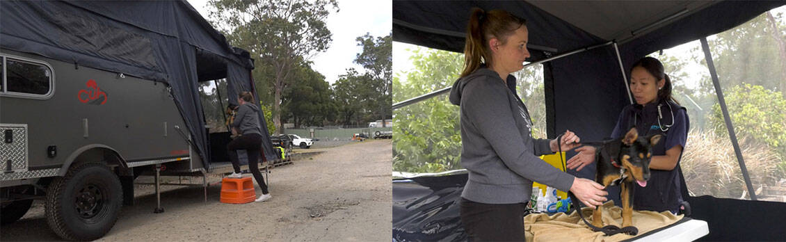 Cub Campers lends a generous hand to animals across NSW