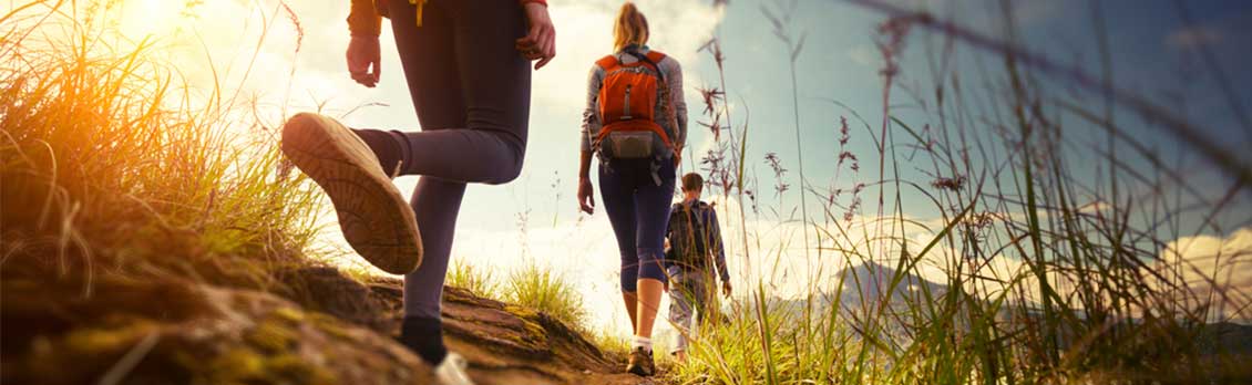 NSW Caravan & Camping Snapshot (International) – Year Ending September 2017