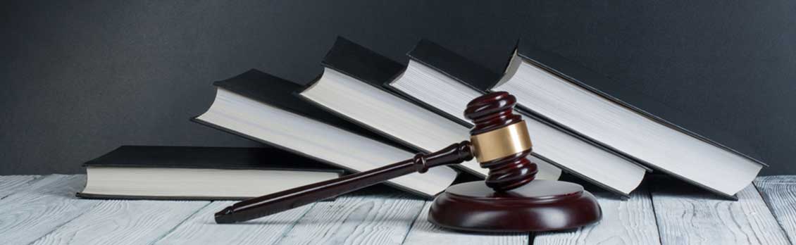 Director of Public Prosecutions v Yarra Valley Park Lane Holiday Park Pty Ltd [2024] VCC 1863