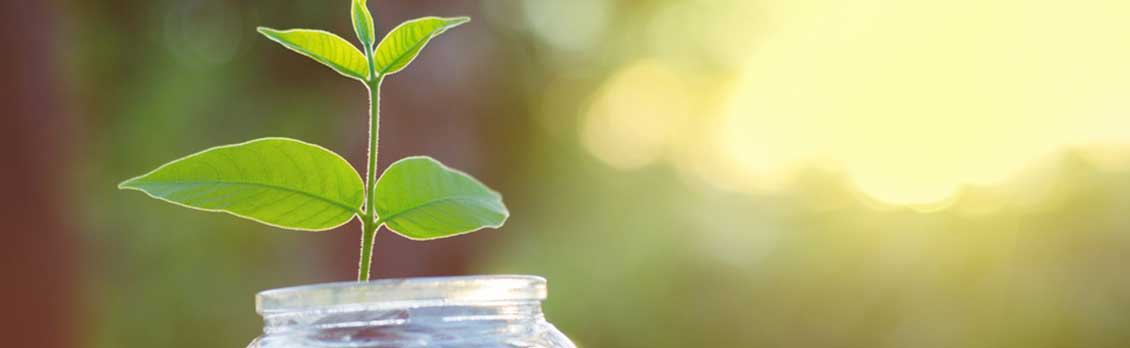 Webinar: Rebate Up to $6,000 Per New Employee