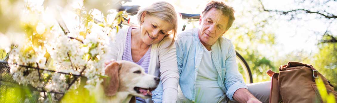 Marketing Tip: Seniors Travel Profile – Everything You Need to Know and More