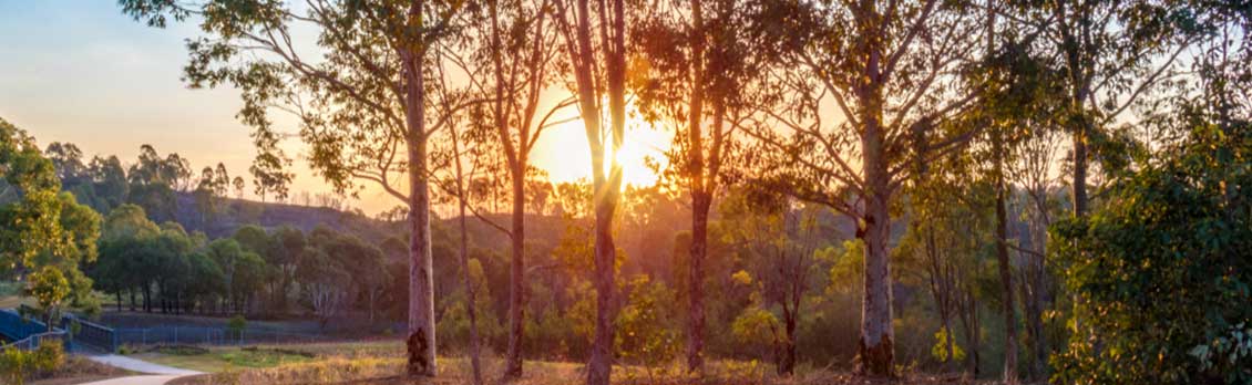 Stafford Strategy Report: Western Sydney Opportunities for Destination Holiday Parks