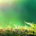 Electricity Charging in Residential Land Lease Communities