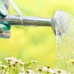 Water Restrictions To Start Across Sydney From 1 June 2019