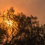 Help for Fire Affected Businesses