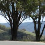 Rest Area Parking Restrictions Trial