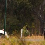 Police Checking Caravan Parks