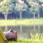 Lobbying Against Non-Compliant and Unsafe Camping