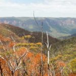 Resilience NSW: Get Ready Business Toolkit
