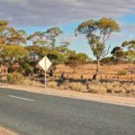 NSW Restrictions on Persons from SA