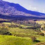 20 Year Economic Vision for Regional NSW – Refresh