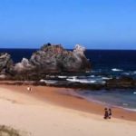 TV Spotlight on South Coast and Murray Region Parks