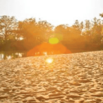 Caravan and Camping Tourism : Y/E December 2023