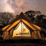 2026 Caravan and Camping State of Industry Report