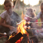 Caravan and Camping Consumer Sentiment Report September 2026